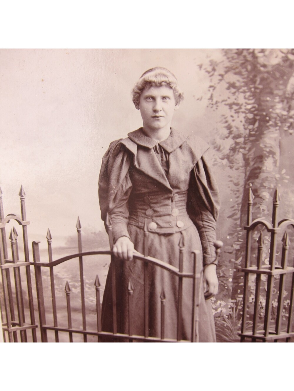 Cabinet Card Photograph Young Woman Fence Gate Heath Bradford Ohio 1890s Antique - Picture 10 of 12